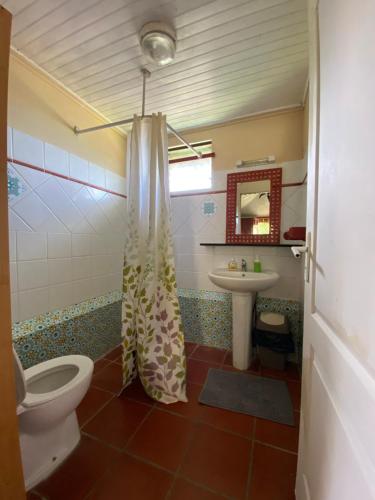 a bathroom with a toilet and a sink at LE DOMAINE DE LA VALLEE in Le Morne Rouge