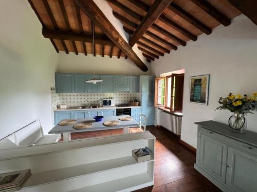 a kitchen with blue cabinets and a counter top at Villa Casa di Pietra en el norte de Lucca, Toscana in Camporgiano
