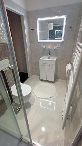 a white bathroom with a toilet and a sink at Apartmany Železná Ruda in Železná Ruda