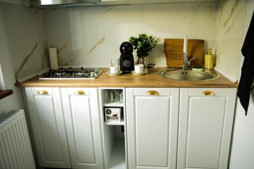 a kitchen with a sink and a counter top at Studio Sofia in Râmnicu Vâlcea