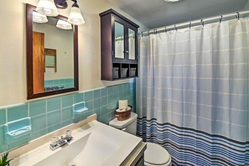 łazienka z umywalką i zasłoną prysznicową w obiekcie Cozy Catskills Escape, 3 Mi to Plattekill Mtn w mieście Roxbury