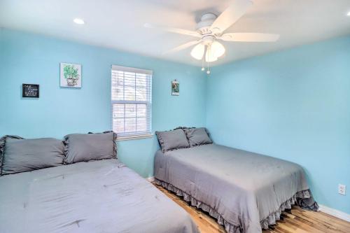 two beds in a room with blue walls and a ceiling fan at Remodeled Harrison Retreat Less Than 6 Mi to Town! in Harrison