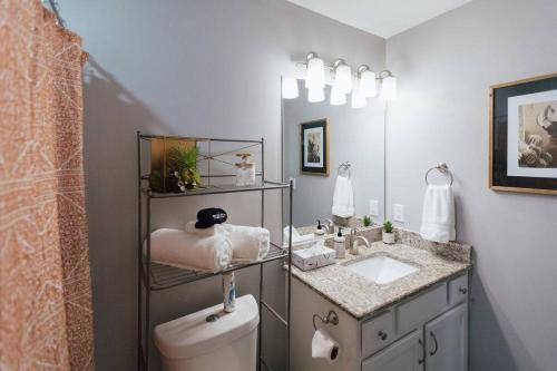 a bathroom with a sink and a toilet and a mirror at The Sanctuary Company Johnson City in Johnson City