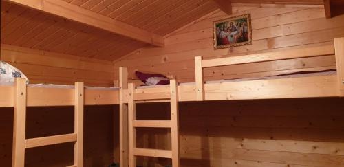 1 Schlafzimmer mit 2 Etagenbetten in einer Hütte in der Unterkunft Cabana Moroșanca-Peștiș in Peştiş