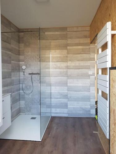 a bathroom with a shower with a glass door at LA MAISON POURRIE in Pont-à-Mousson
