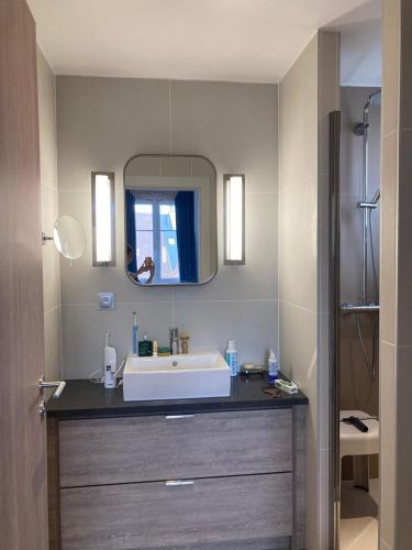 une salle de bain avec un lavabo et un miroir dans l'établissement Presqu île de la touques deauville N 3404, à Deauville