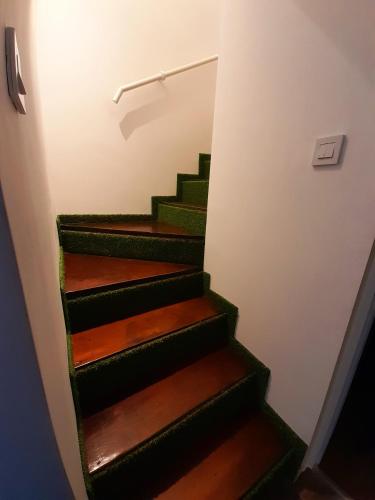 a stairway with green and wooden stairs in a room at Limone apartmani Niš in Niš