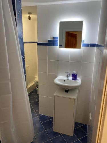 ein Bad mit einem Waschbecken und einem Spiegel in der Unterkunft Ferienwohnung sentio-comfortable Saalfeld in Saalfeld