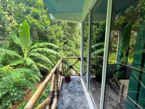 uma varanda de uma casa numa floresta em Salvaje Rooms&Restaurant em Santa Bárbara de Samaná