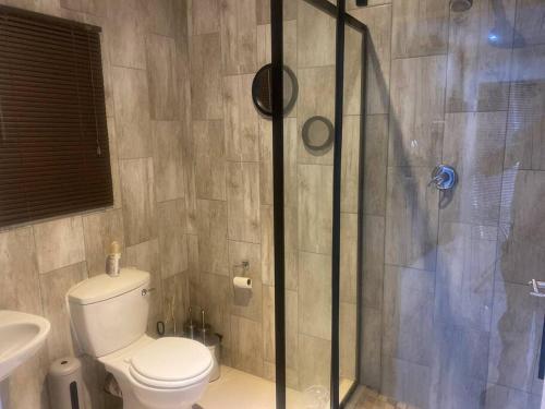 a bathroom with a toilet and a glass shower at One Bedroom Luxury Apartment in Pretoria