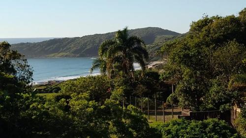a view of a beach with a palm tree at Pousada Las Piedras in Praia do Rosa