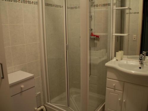 沙泰勒的住宿－Appartement Châtel, 2 pièces, 5 personnes - FR-1-200-164，带淋浴和盥洗盆的浴室
