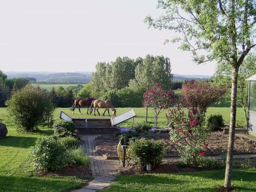 two horses grazing in a field with a field sidx sidx sidx at Haus Maria in Olmscheid