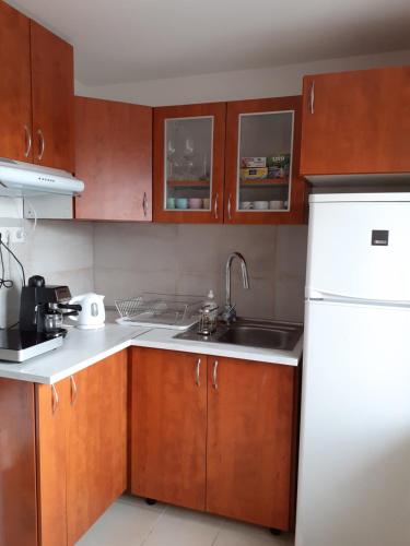 a kitchen with wooden cabinets and a white refrigerator at Áfonyácska Vendégház in Mátraszentimre
