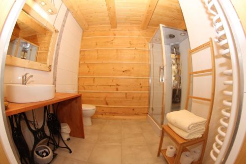 a bathroom with a shower and a sink at Chata Albertówka in Groń