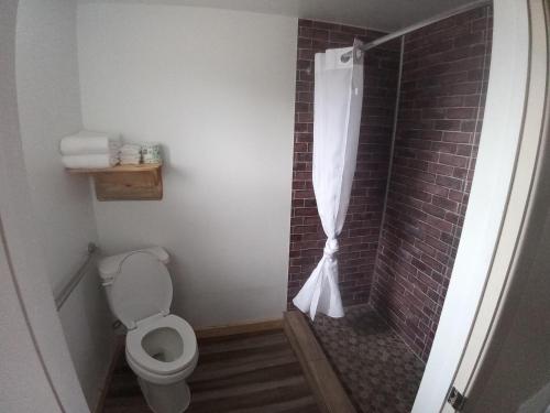 a bathroom with a toilet and a shower with a shower curtain at Aneth Lodge Budget 6 in Cortez
