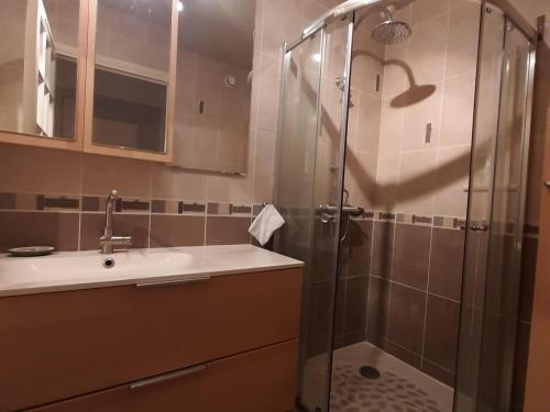 une salle de bain avec douche et lavabo dans l'établissement Grand appartement avec poêle, 2 chambres et dortoir près du village - FR-1-515-147, à Villard-de-Lans