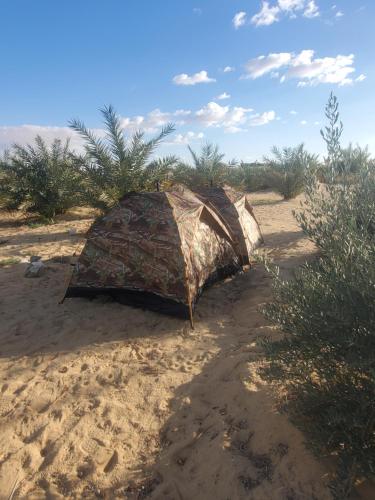 錫瓦的住宿－2 pers tent，沙子中的帐篷