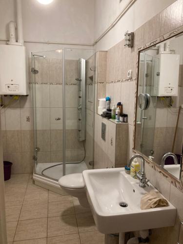 a bathroom with a shower toilet and a sink at Danube View in Budapest