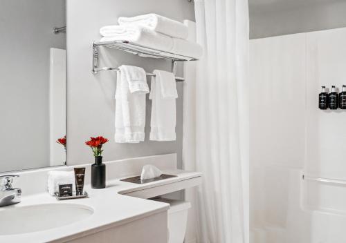 een witte badkamer met een wastafel en een spiegel bij Hotel One75 in Hamilton