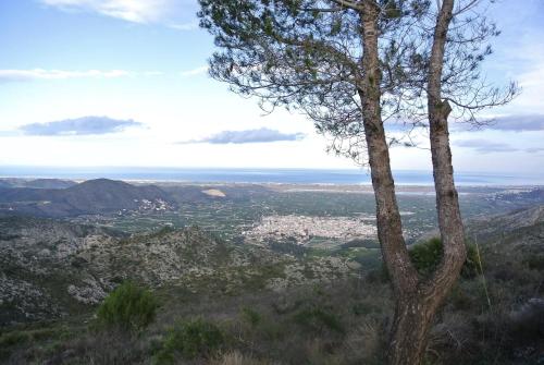 a tree on a hill with the ocean in the background at Casa Conxin Beach & Mountain Apartment Costa Blanca in Pego