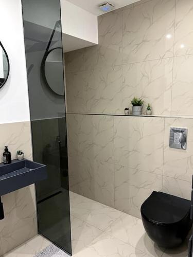 Donaublick Apartment في باساو: حمام مع دش ومرحاض ومغسلة