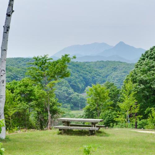 a picnic table in a field with mountains in the background at Kyukamura Hiruzen-Kogen in Maniwa