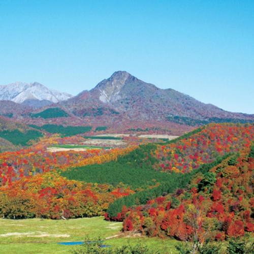 a view of a mountain with trees in the fall at Kyukamura Hiruzen-Kogen in Maniwa