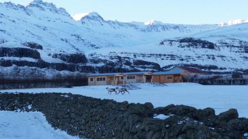 two horses running in the snow in front of a house at Bragdavellir Cottages in Djúpivogur