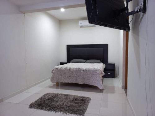 - une chambre avec un lit, une télévision et un tapis dans l'établissement Privacidad y comodidad, à Los Mochis