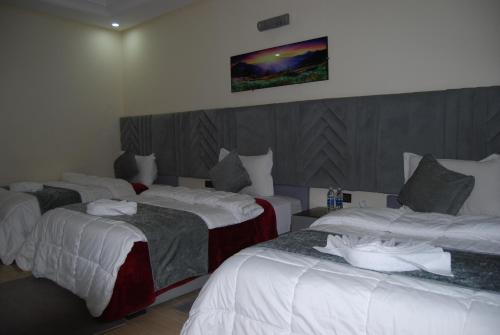Ein Bett oder Betten in einem Zimmer der Unterkunft Hotel la Perle d'Arfoud