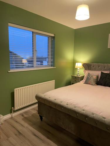 um quarto com paredes verdes, uma cama e uma janela em Heights View Apartment em Derry Londonderry