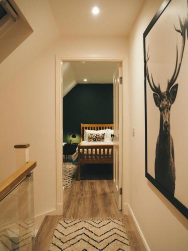 a hallway with a painting of a deer on the wall at The Trossachs Collection in Kepculloch