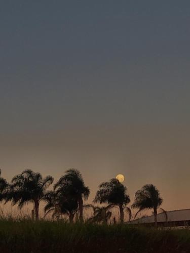 a group of palm trees with the moon in the sky at Chácara do Mirante in São Sebastião do Paraíso