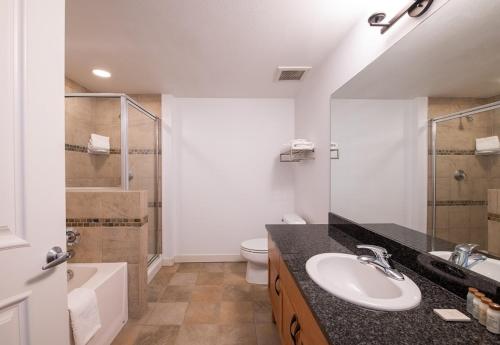 uma casa de banho com um lavatório, um chuveiro e um WC. em Winter Park FF Premium-Rated 4564 em Winter Park