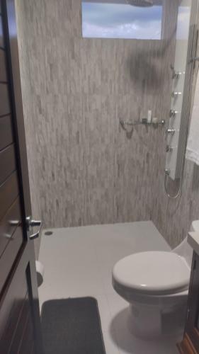 a bathroom with a white toilet and a shower at HOTEL EMPRESARIAL Arcoiris de mi llano in Paz de Ariporo