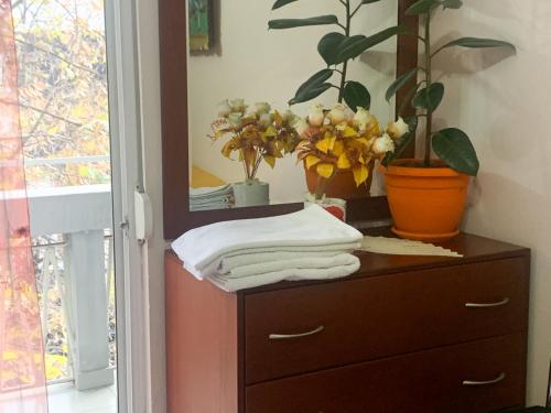 tocador con toallas, espejo y planta en Korca Central Flat, en Korçë