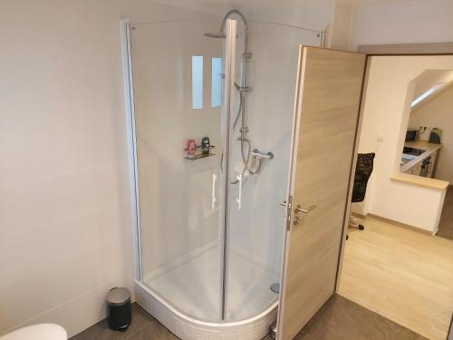 y baño con ducha y puerta de cristal. en Apartment Popp en Erzhausen