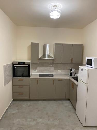 Una cocina con un refrigerador blanco y un microondas. en Dodo House, en Brasov