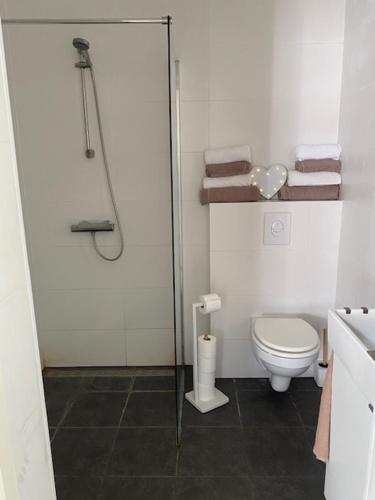 a bathroom with a toilet and a glass shower door at Queens Romantic Beachhouse in Zandvoort