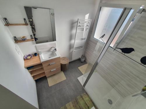 een badkamer met een douche en een wastafel bij LA PETITE SALAMANDRE des Conches in Longeville-sur-Mer