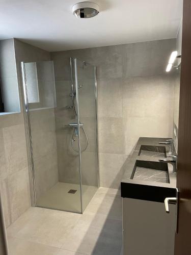 a bathroom with a shower with a glass door at Le Hérou in Houffalize