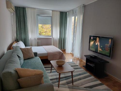 a living room with a couch and a bed and a television at Green in Belgrade