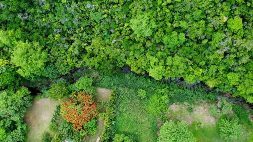 an overhead view of a forest with red trees at Nature Paradise Pool & Spa - Exceptional Secluded Luxury Location in Le Diamant