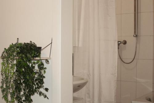 a bathroom with a shower with a plant in it at American Ease Apartments - Hahnbach, Vilseck, Weiden in Hahnbach