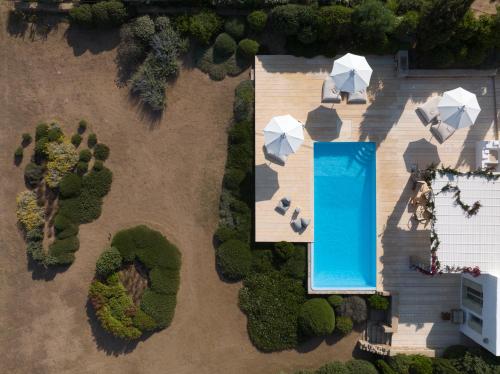 an overhead view of a swimming pool in a park at VILLA EKAVI FILIZI - Seaside Residence just outside of Naousa in Naousa