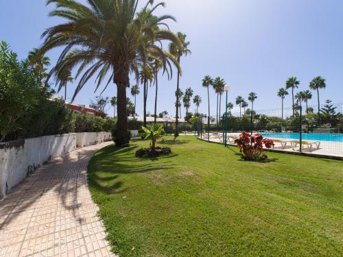 a park with palm trees and a swimming pool at Tunos 83 in Maspalomas