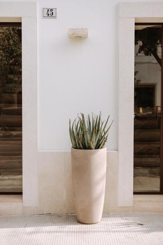 a plant in a pot sitting in front of a wall at Suite1212 - Pirrelli in Monopoli