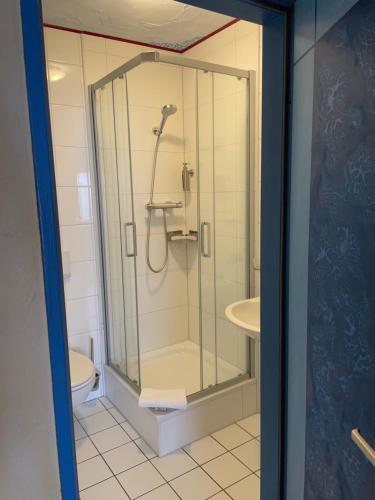 a glass shower in a bathroom with a toilet at Gästehaus Mezcalero in Dresden