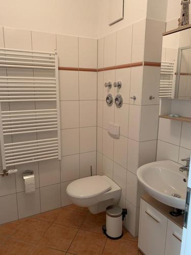 a bathroom with a toilet and a sink at Am Haferland "Darß-Traum" in Wieck